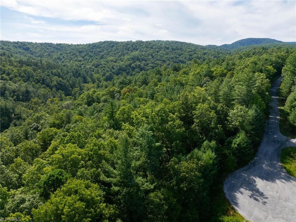 Lot 48E Cascade Run, Purlear, North Carolina image 9