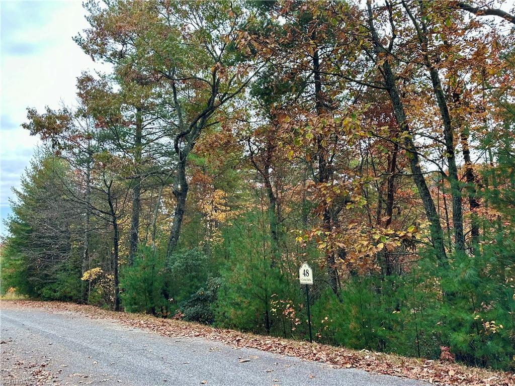 Lot 48E Cascade Run, Purlear, North Carolina image 27