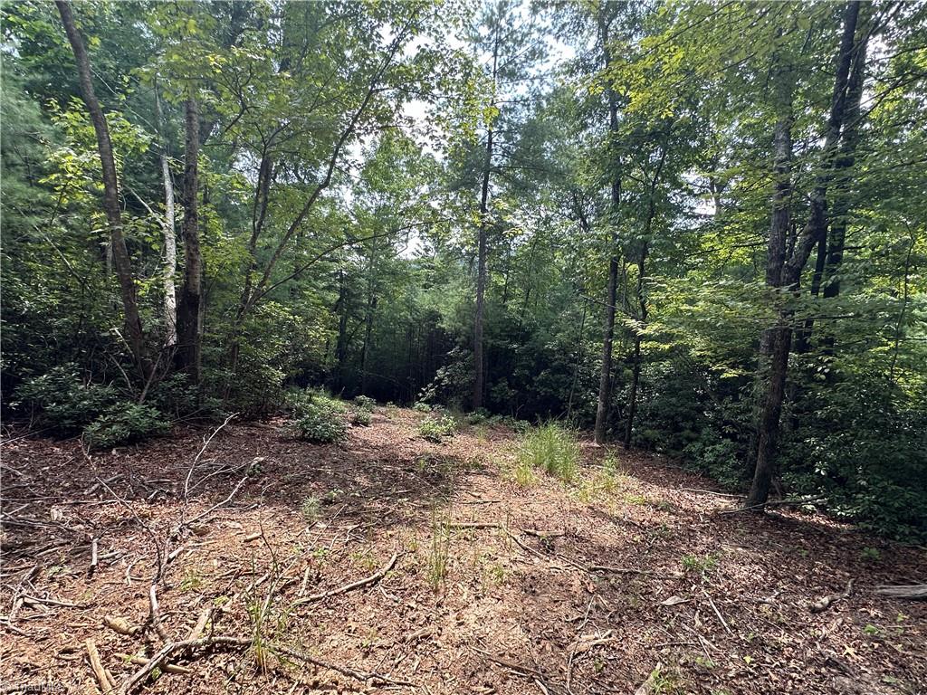 Lot 48E Cascade Run, Purlear, North Carolina image 5