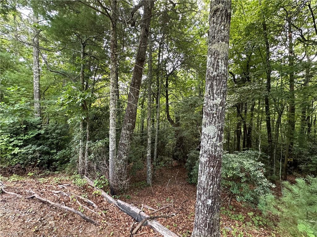 Lot 48E Cascade Run, Purlear, North Carolina image 2