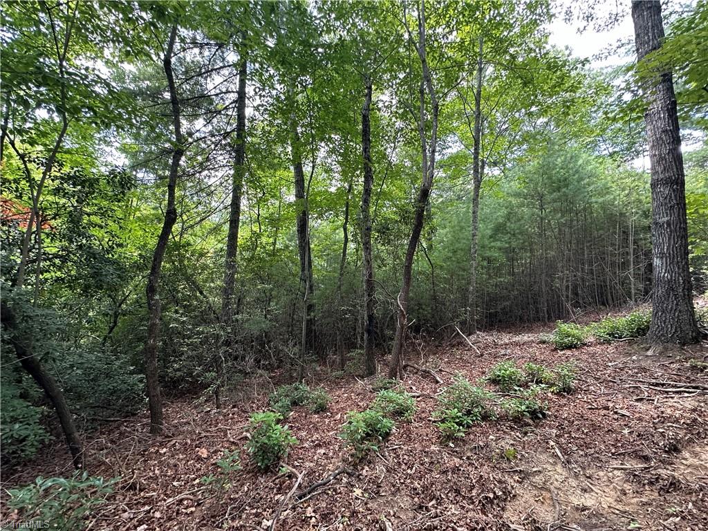 Lot 48E Cascade Run, Purlear, North Carolina image 6