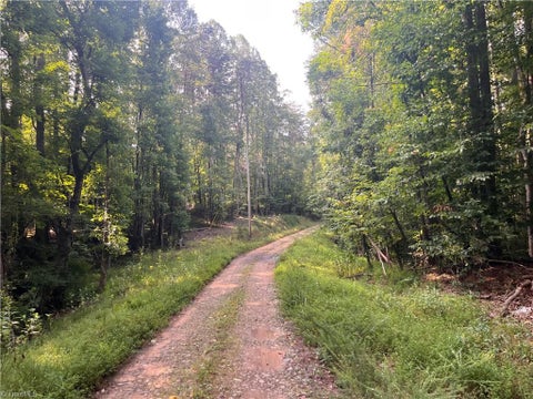 Vacant Land For Sale - 1170 Timber Ridge Road<br/> Westfield, NC 27053