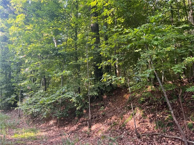 1170 Timber Ridge Road, photo 4 of 20