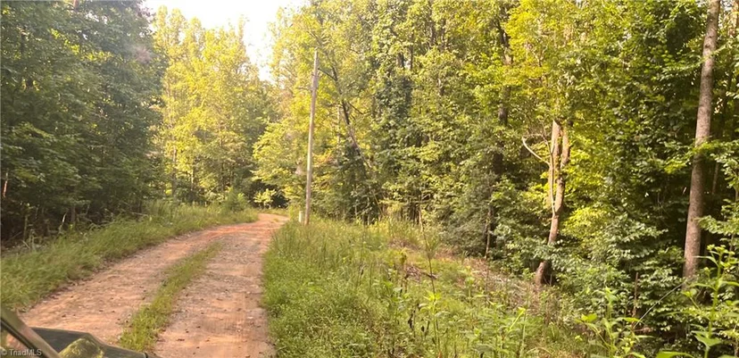 1170 Timber Ridge Road, photo 1 of 20