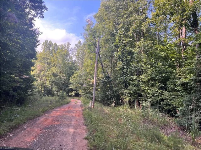 1170 Timber Ridge Road, photo 5 of 20