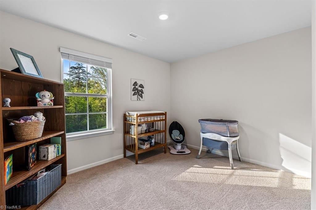 163 Green Mallard Way, Mayodan, North Carolina image 29