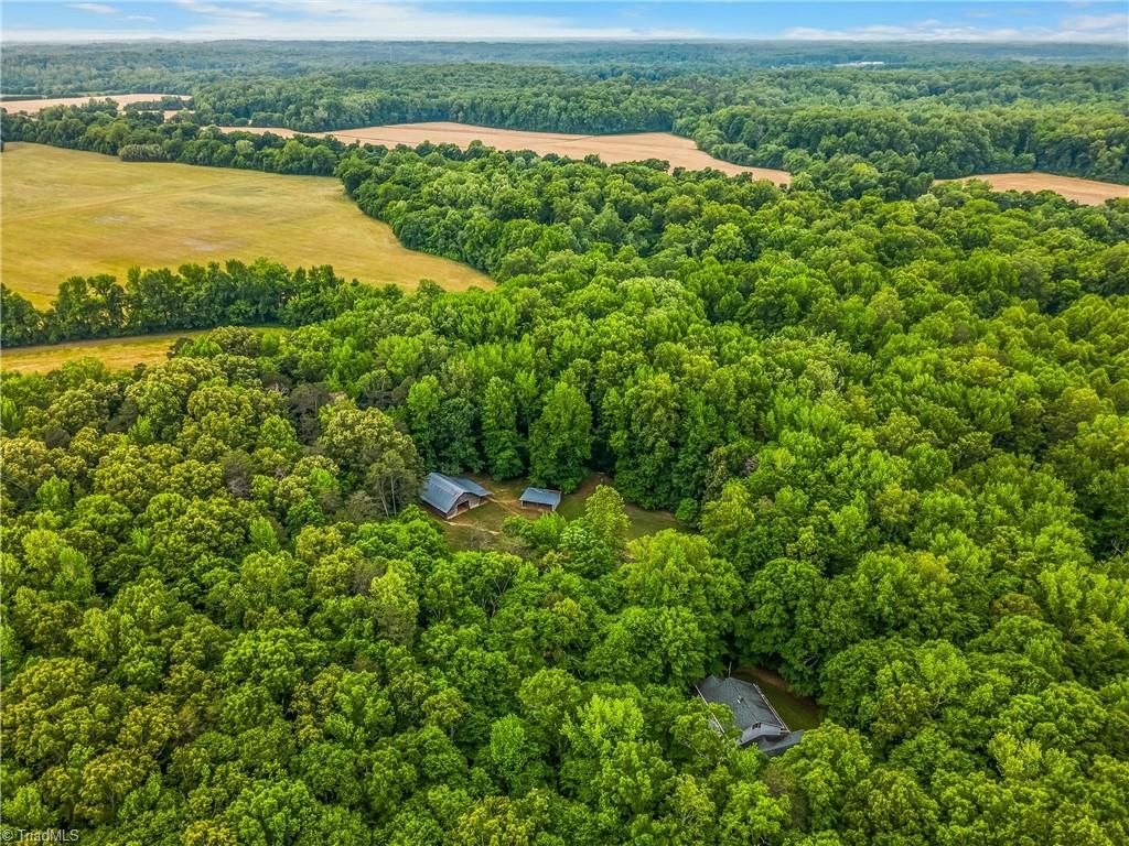 Photo of 4500 Williams Road, Lewisville, NC 27023 (MLS # 1219343)