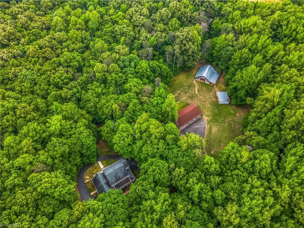 Photo of 4500 Williams Road, Lewisville, NC 27023 (MLS # 1219343)