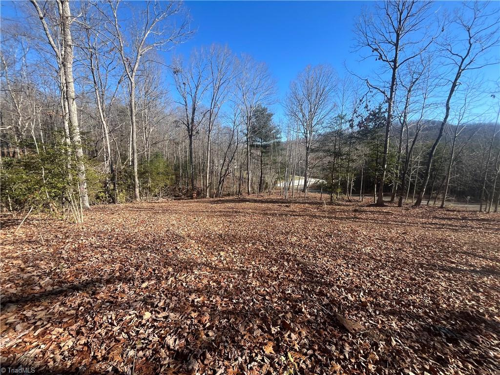 View Mount Airy, NC 27030 house