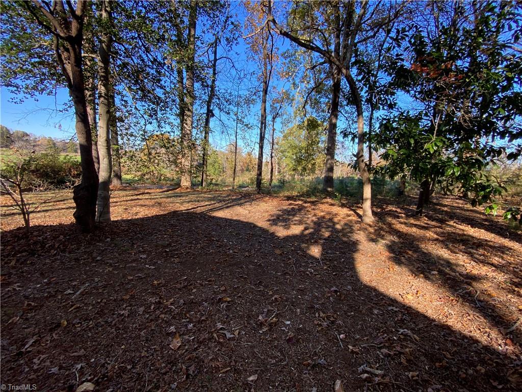 3642 Andrew Country Lane, Climax, North Carolina image 9