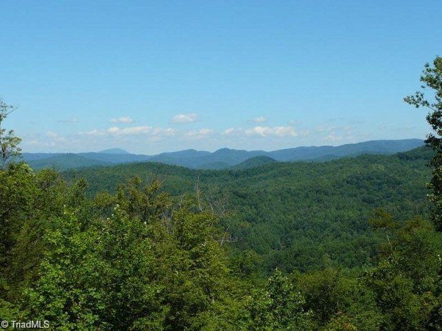 Lot 17 Chestnut Falls Drive, Millers Creek, North Carolina image 2