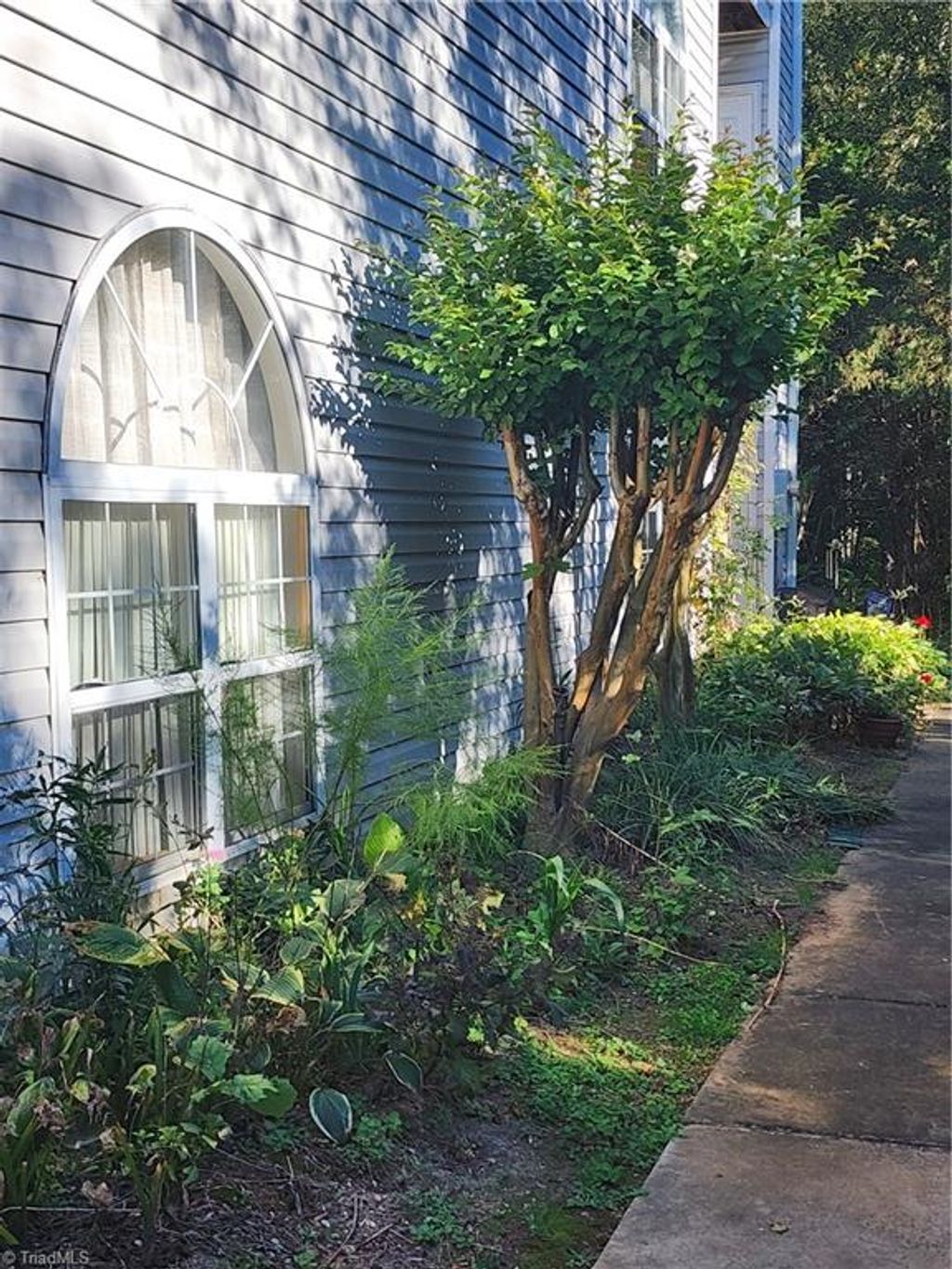 Photo of 512 RiverTree Lane, Winston-Salem, NC 27103 (MLS # 1198563)