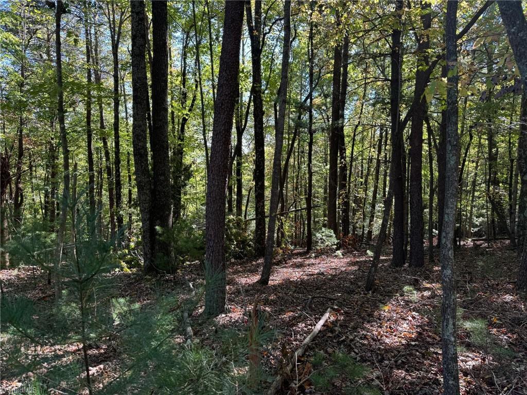 Lot 70 Sutters Ridge Road, McGrady, North Carolina image 10