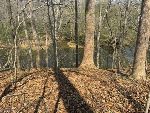 Vacant Land For Sale - Cedar Springs Road<br/> Randleman, NC 27317