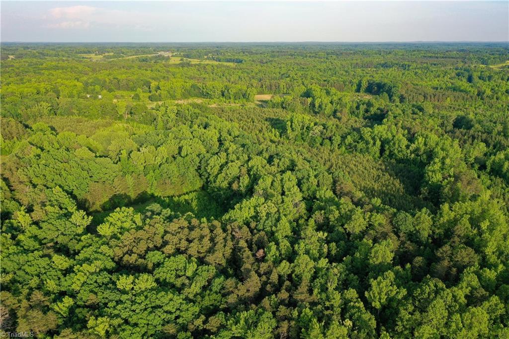 52.79 Acres Atkins Road, Mebane, North Carolina image 21
