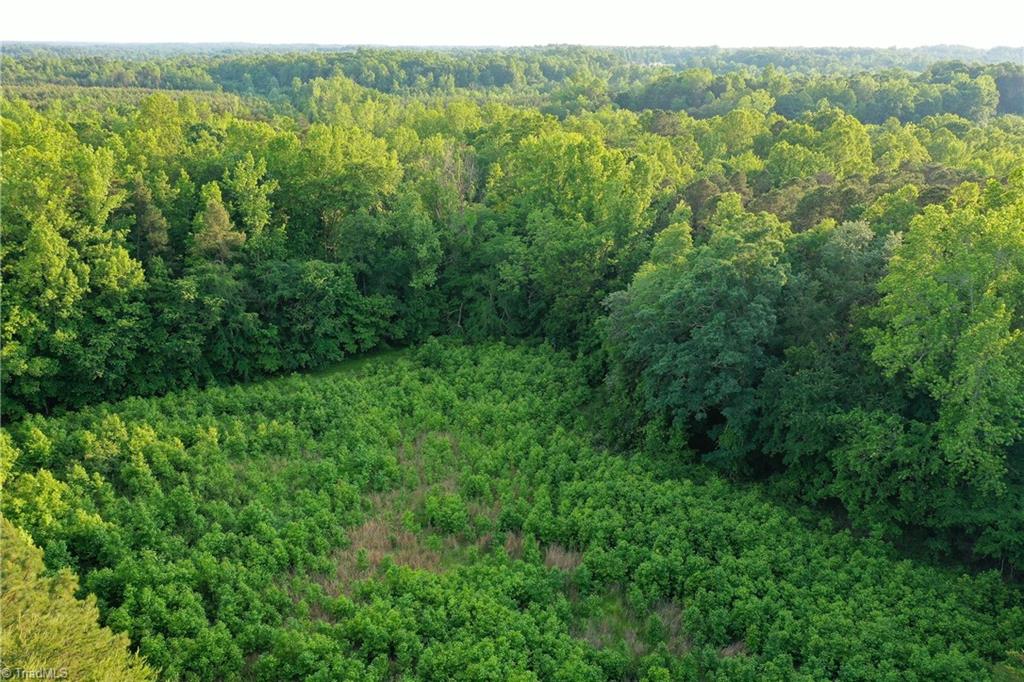 52.79 Acres Atkins Road, Mebane, North Carolina image 14