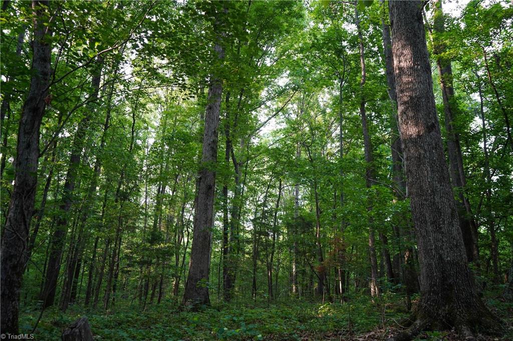 52.79 Acres Atkins Road, Mebane, North Carolina image 27