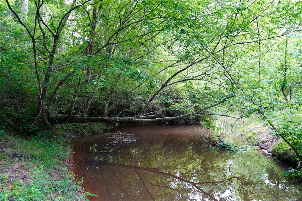 52.79 Acres Atkins Road, Mebane, North Carolina image 24