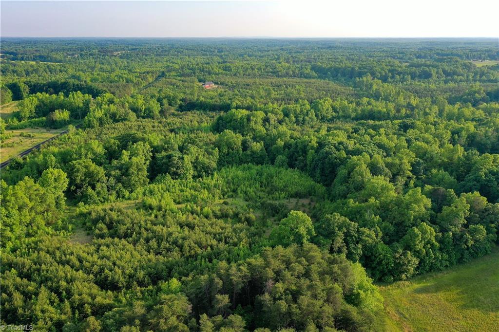 52.79 Acres Atkins Road, Mebane, North Carolina image 3