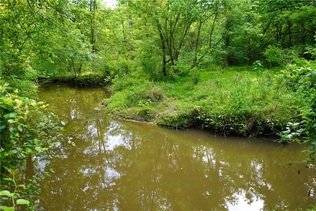 52.79 Acres Atkins Road, Mebane, North Carolina image 25