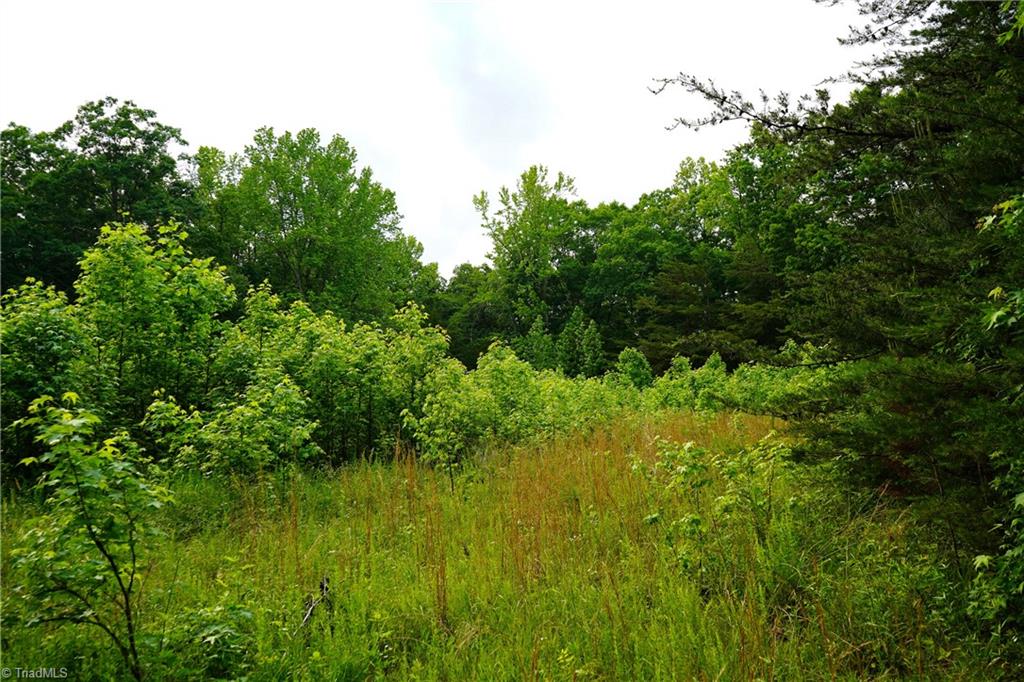 52.79 Acres Atkins Road, Mebane, North Carolina image 19