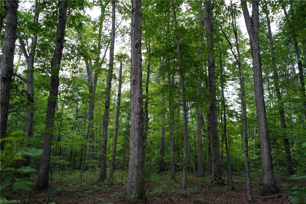 52.79 Acres Atkins Road, Mebane, North Carolina image 20