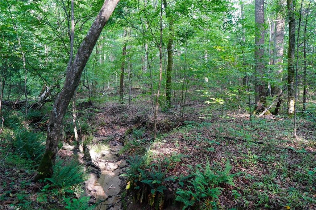 52.79 Acres Atkins Road, Mebane, North Carolina image 26