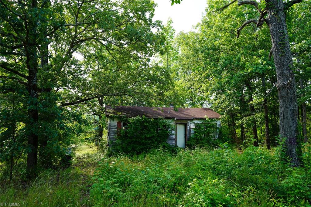 52.79 Acres Atkins Road, Mebane, North Carolina image 6