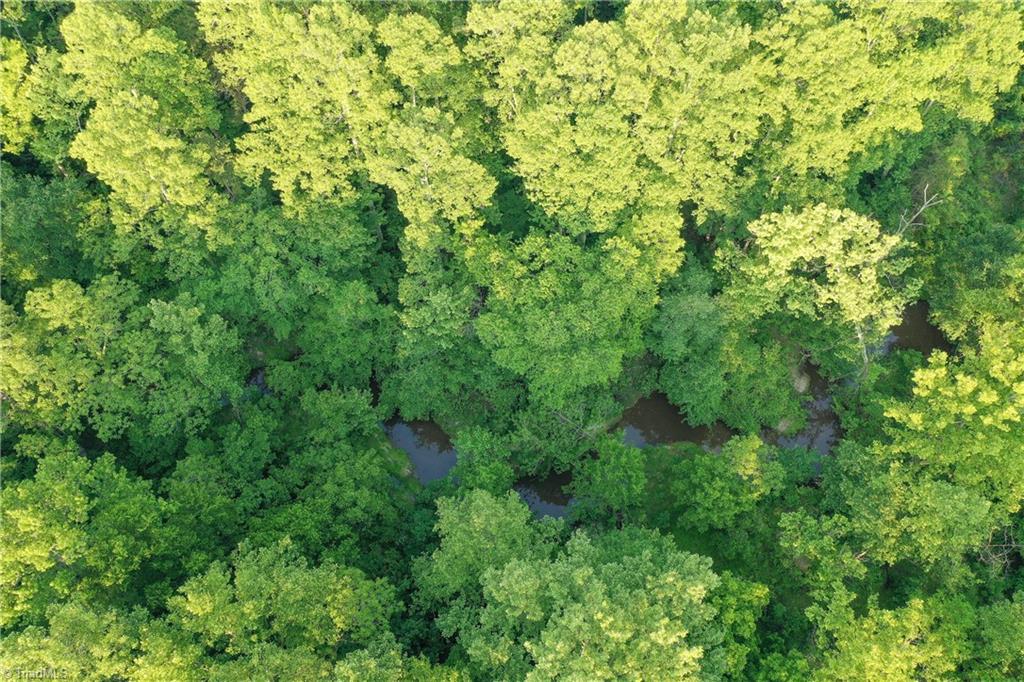 52.79 Acres Atkins Road, Mebane, North Carolina image 22
