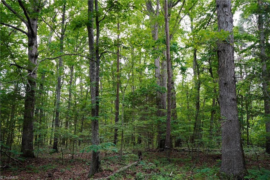 52.79 Acres Atkins Road, Mebane, North Carolina image 18