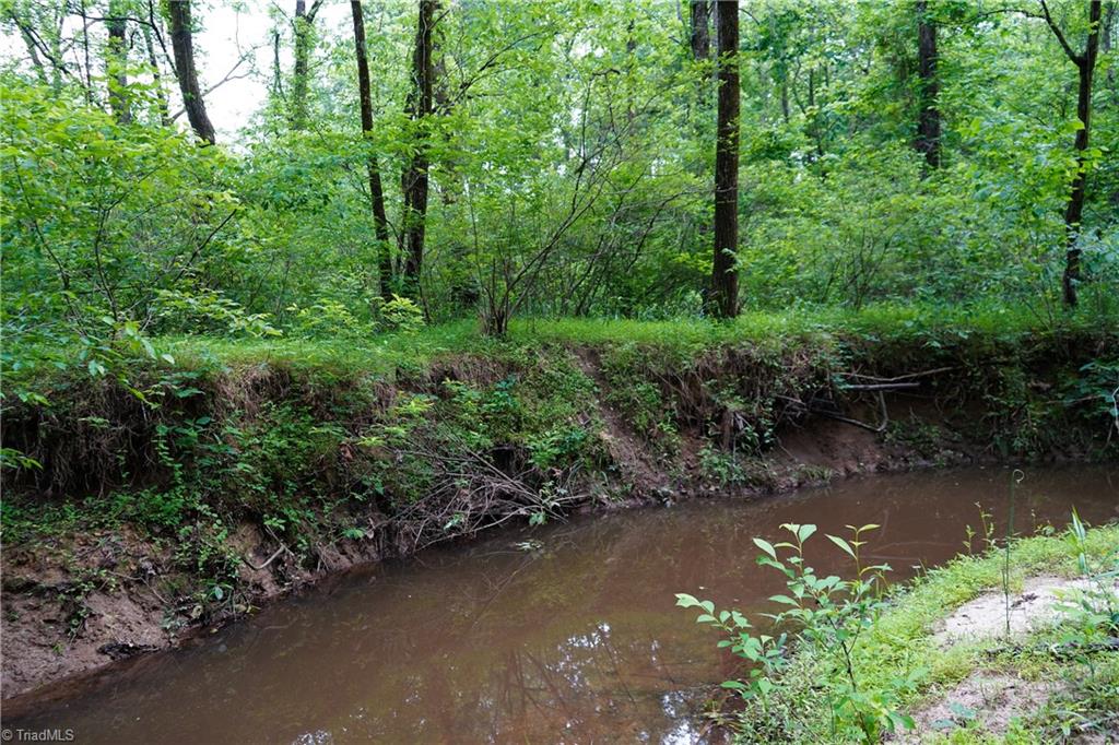 52.79 Acres Atkins Road, Mebane, North Carolina image 23
