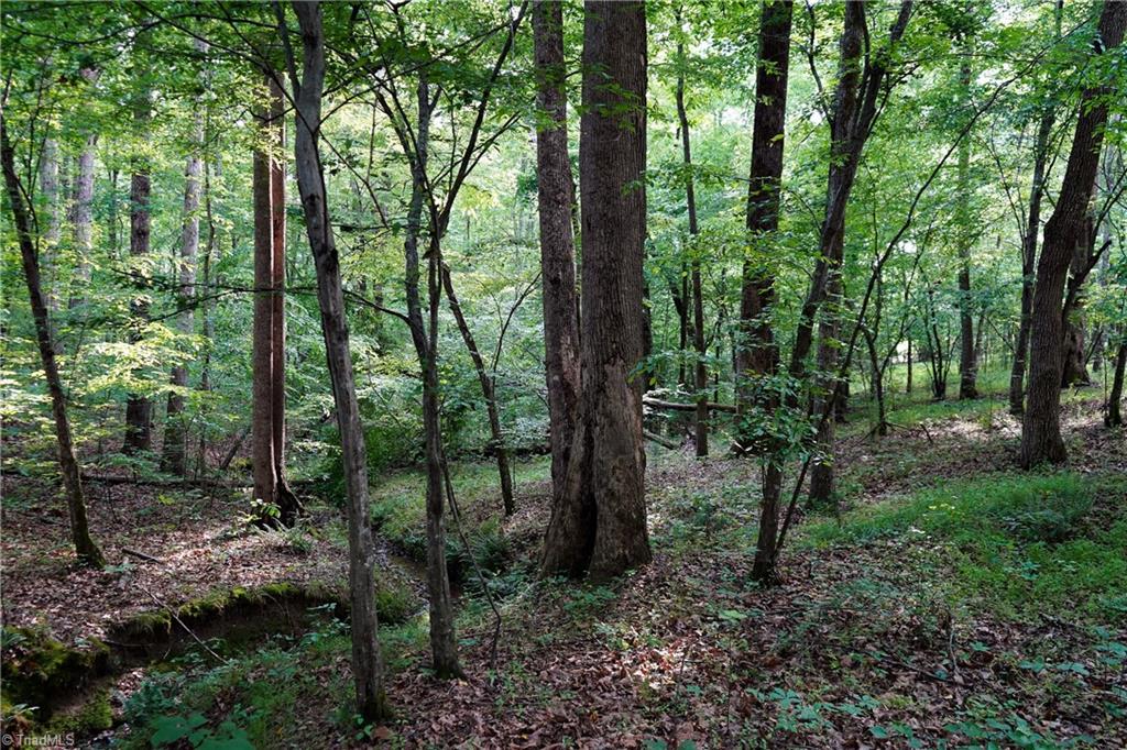 52.79 Acres Atkins Road, Mebane, North Carolina image 15