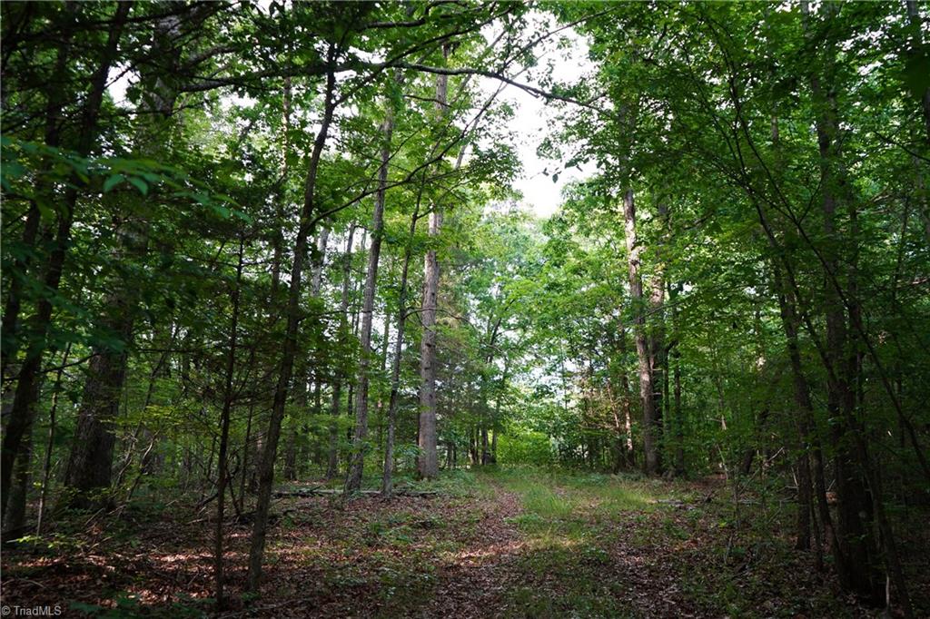 52.79 Acres Atkins Road, Mebane, North Carolina image 17