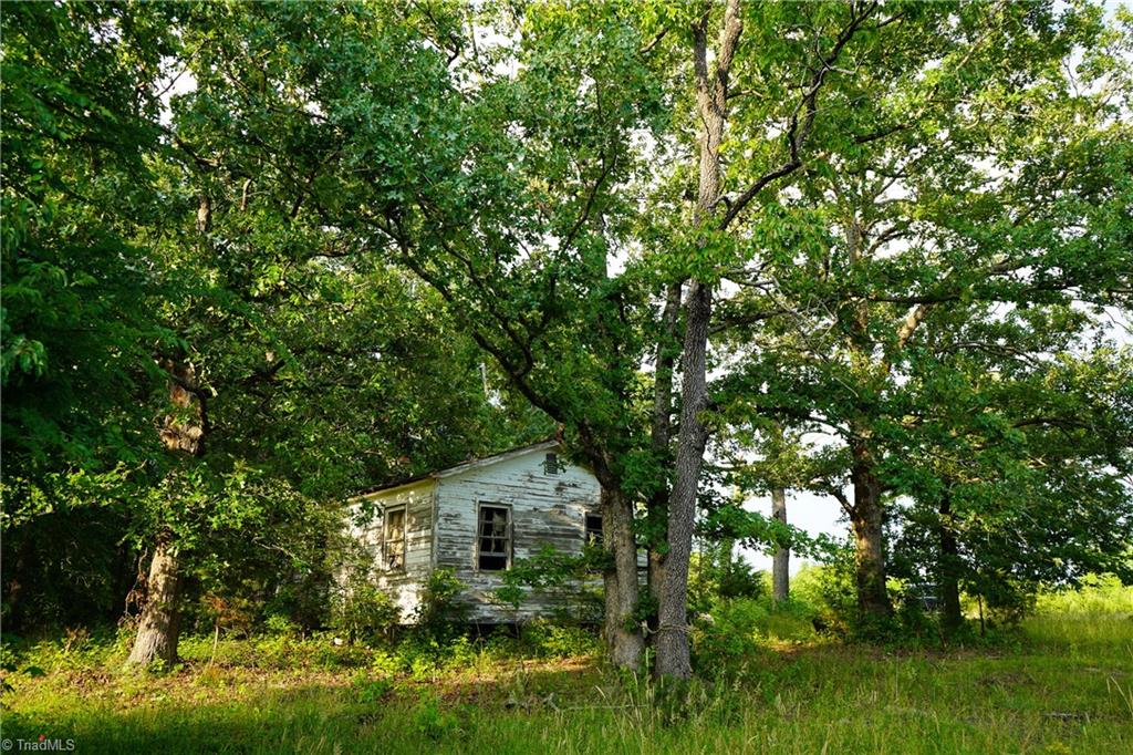 52.79 Acres Atkins Road, Mebane, North Carolina image 7