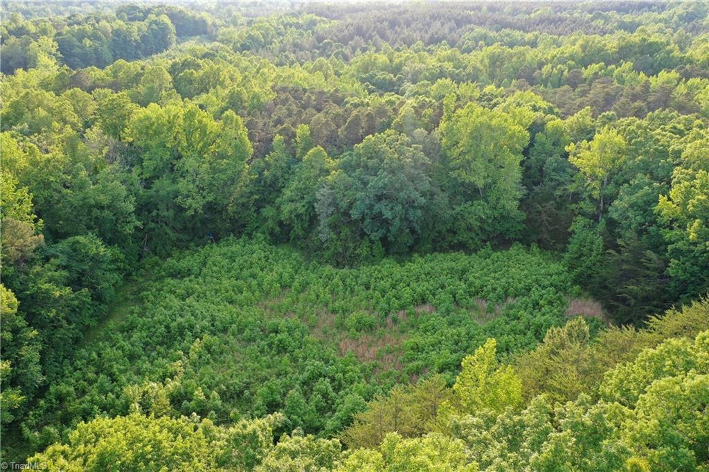 52.79 Acres Atkins Road, Mebane, North Carolina image 13