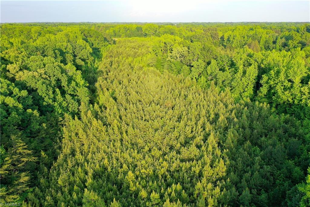 52.79 Acres Atkins Road, Mebane, North Carolina image 29
