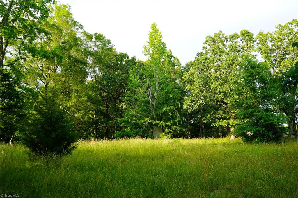52.79 Acres Atkins Road, Mebane, North Carolina image 8