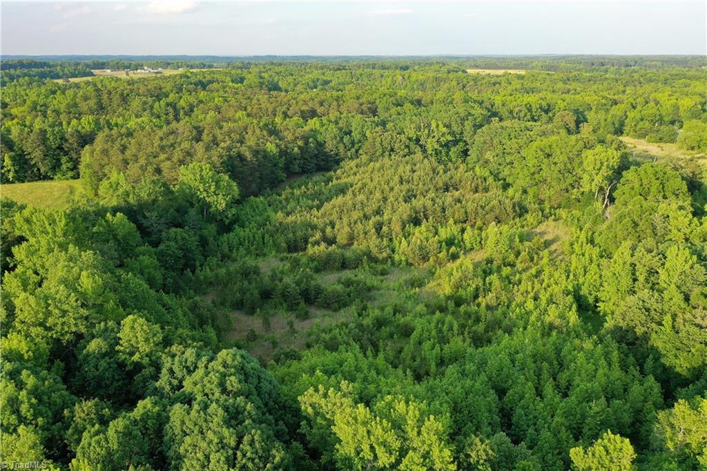 52.79 Acres Atkins Road, Mebane, North Carolina image 12