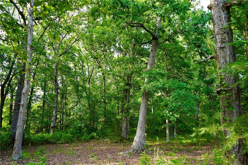 52.79 Acres Atkins Road, Mebane, North Carolina image 9