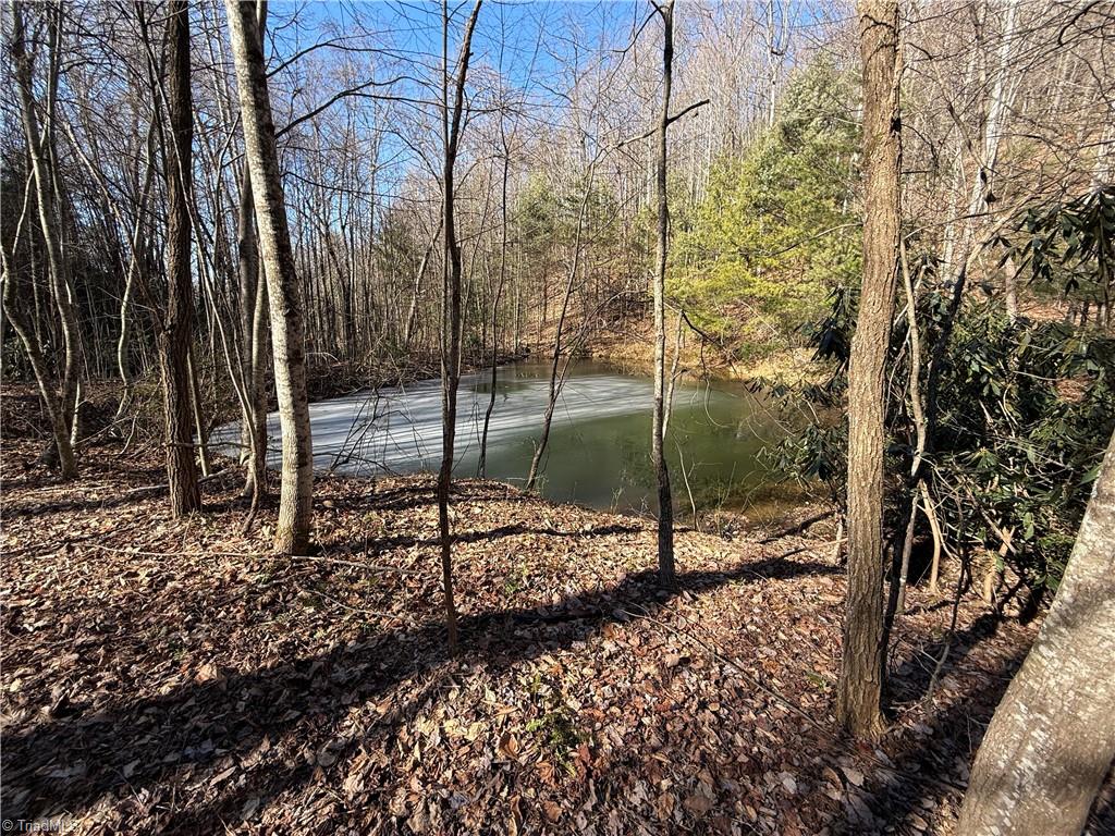 Lot 222B Casey Mountain Road, Purlear, North Carolina image 3