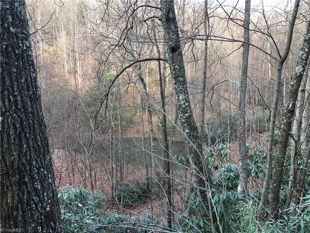 Lot 222B Casey Mountain Road, Purlear, North Carolina image 10