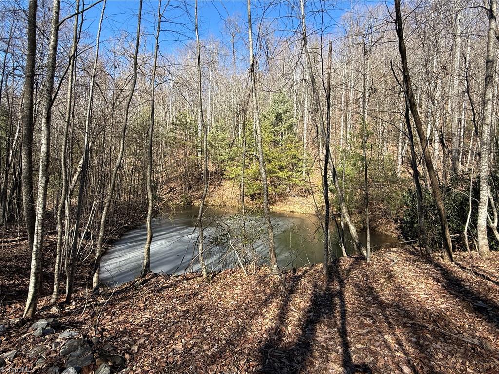 Lot 222B Casey Mountain Road, Purlear, North Carolina image 22