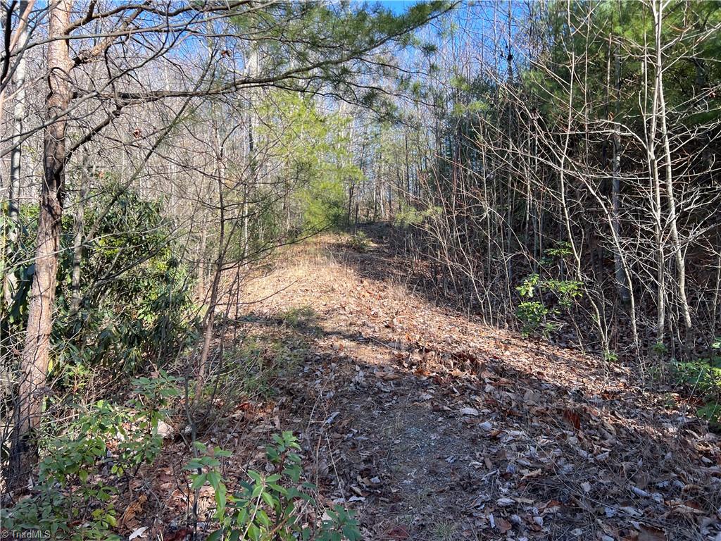 Lot 222B Casey Mountain Road, Purlear, North Carolina image 11