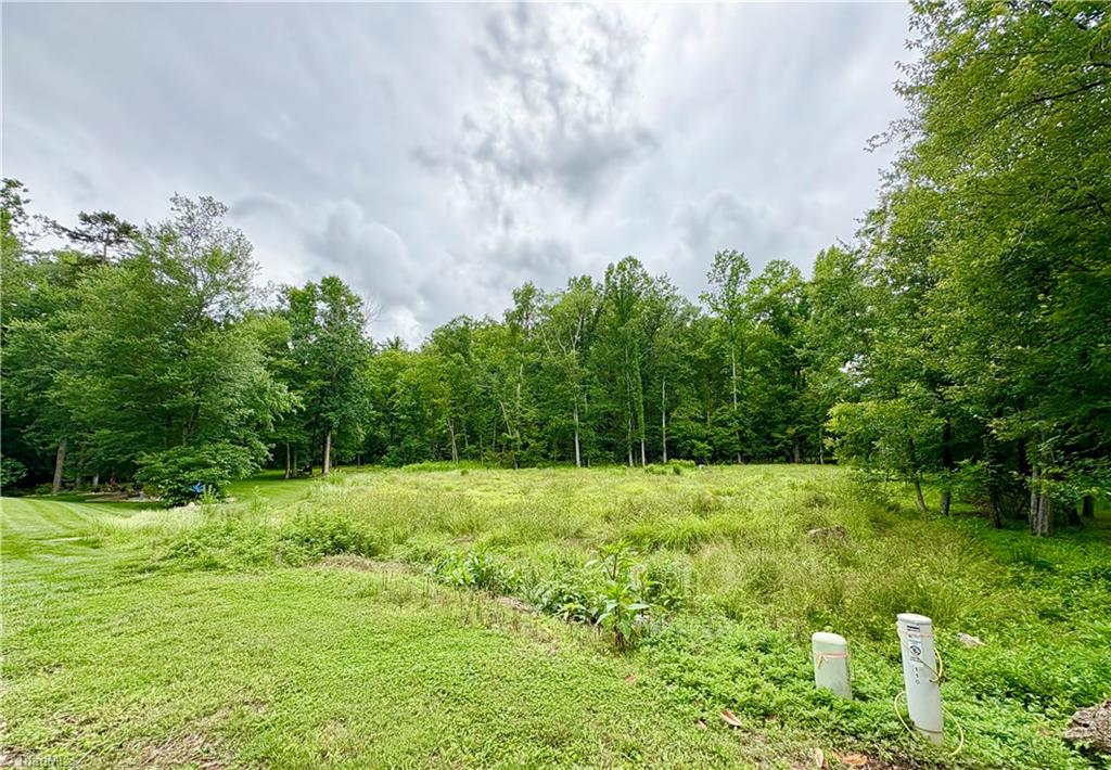 110 Asbury Place Court, Clemmons, North Carolina image 3