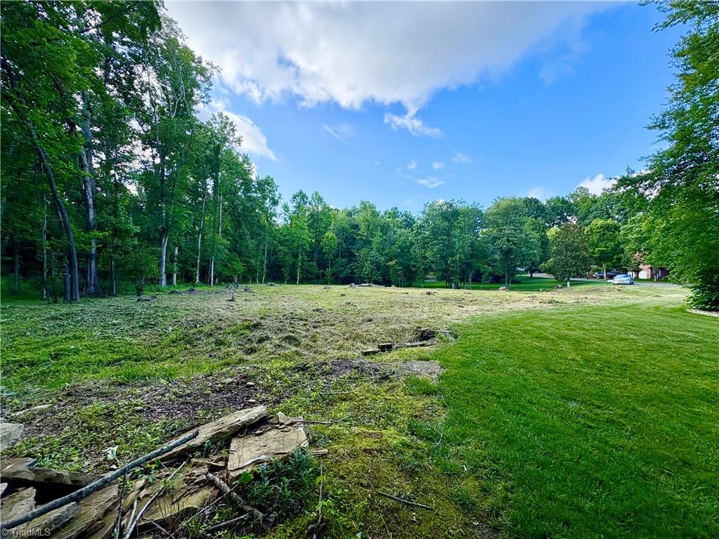 110 Asbury Place Court, Clemmons, North Carolina image 7