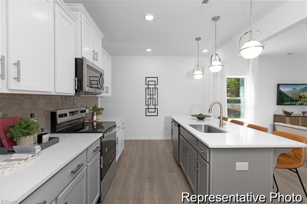 1009 Burdock Drive 88