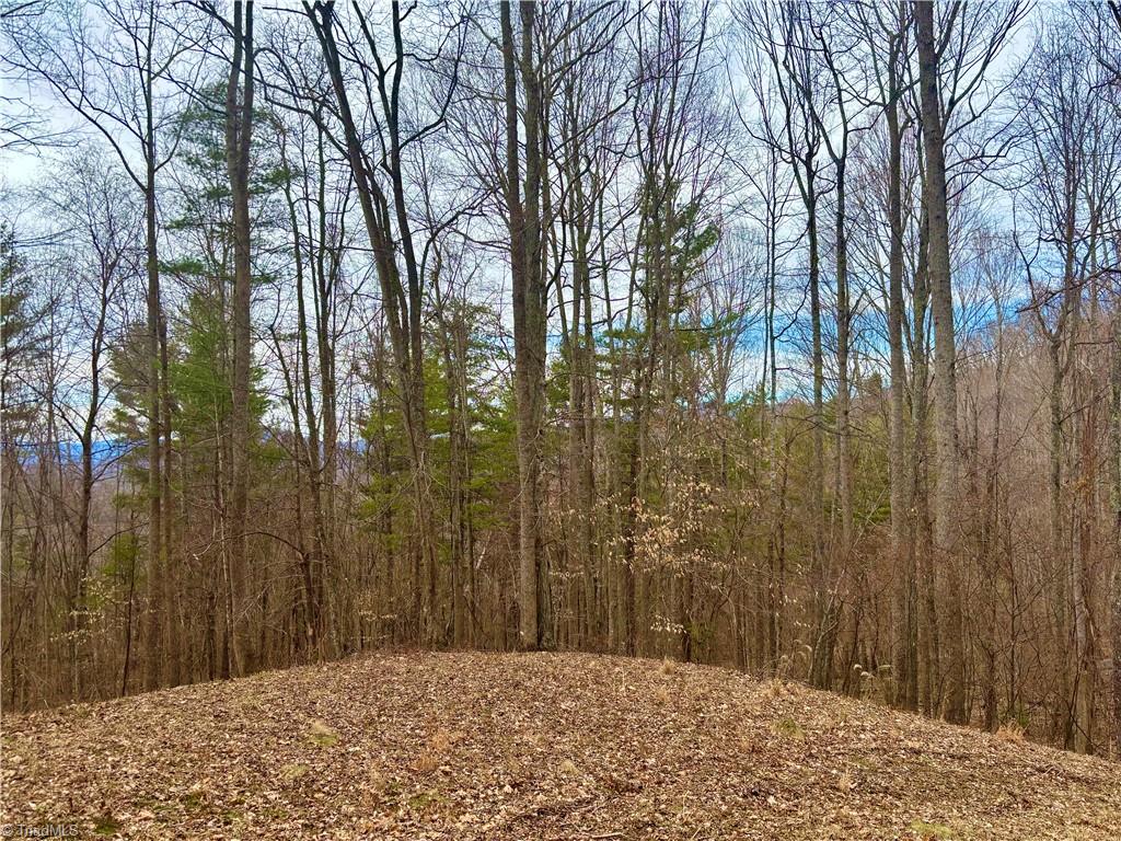 00 Apple Farm Road, Bakersville, North Carolina image 2