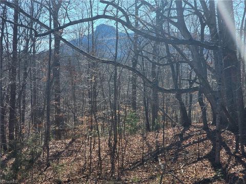 Vacant Land For Sale - 00 Golf Course Road<br/> Pilot Mountain, NC 27041