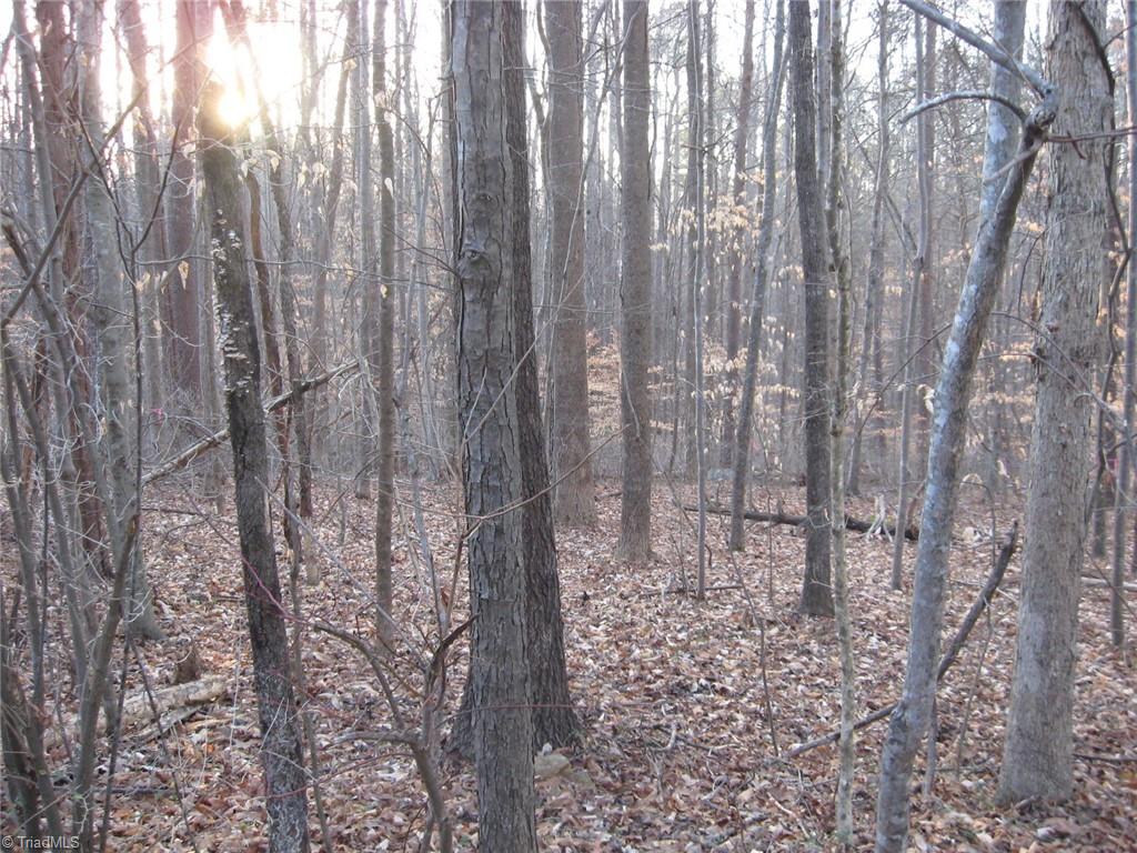 Graham, North Carolina 27253, United States, ,Land,Active,236803