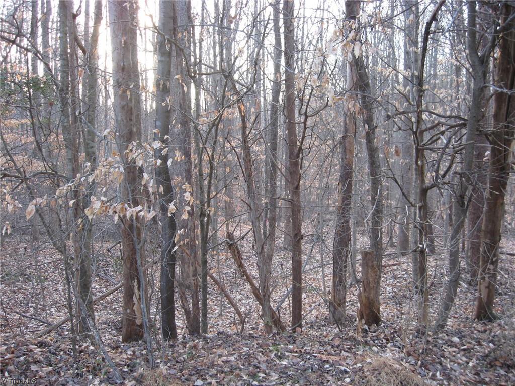 Graham, North Carolina 27253, United States, ,Land,Active,236803